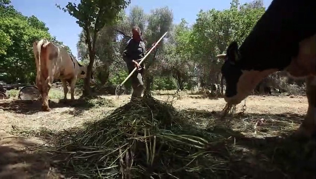 مزارعو الغوطة الشرقية يحاولون إحياء حقولهم الزراعية بعد سنوات الحرب