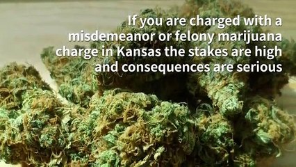 Kansas possession of marijuana attorneys