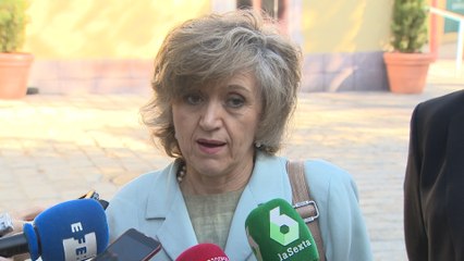 Carcedo confía en que personas con discapacidad intelectual puedan votar