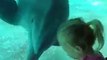 Ces dauphins viennent voir une fillette à l'aquarium !