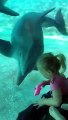 Ces dauphins viennent voir une fillette à l'aquarium !