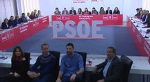 Pleno de la Ejecutiva Federal del PSOE