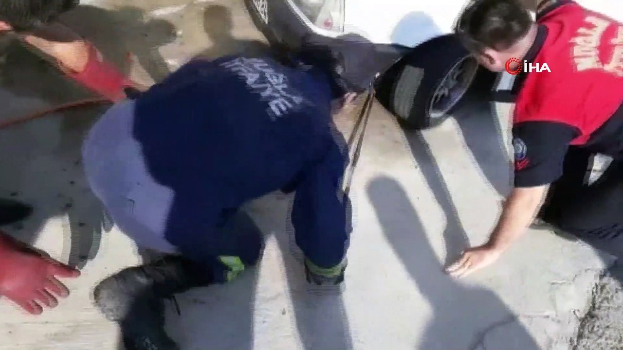 4 saat boyunca yılanın çıkmasını beklediler