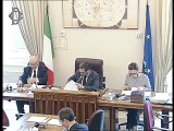 Roma - Comitato italiani all’estero, audizione Associazione mantovani nel mondo (19.06.19)