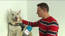 Jaime y su perro Blanco, una historia de amor y superación