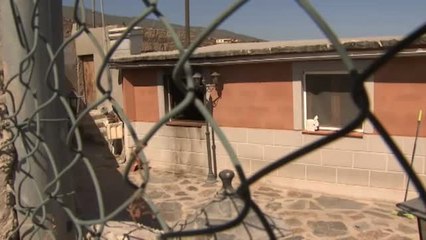 Un perro 'no' peligroso mata a un bebé de 17 días en Tenerife