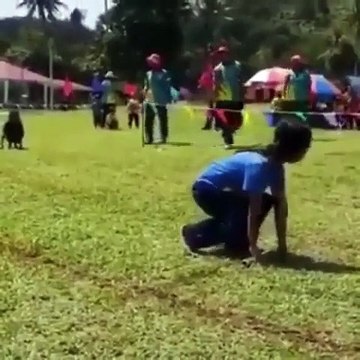 Cette course de relais prend une tournure hilarante. Regardez jusqu’à la fin !!