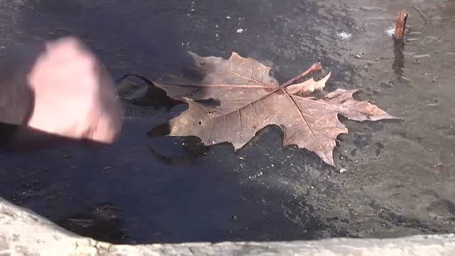 La ola de frío congela España