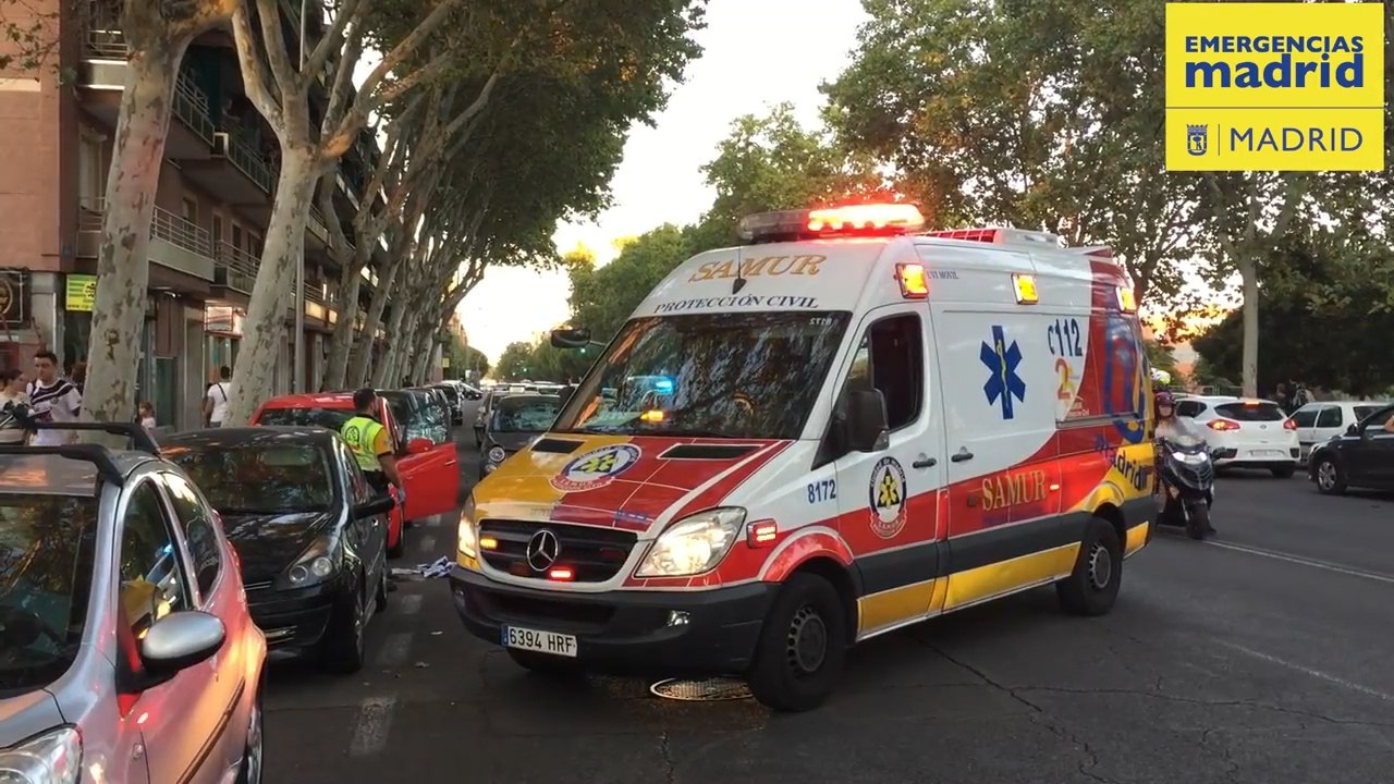 Herido grave tras ser atropellado al intentar recuperar a su perro