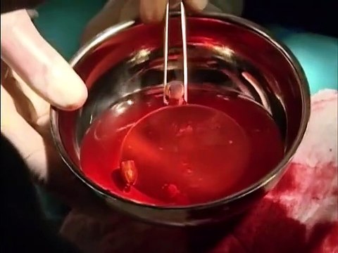 Sila Cautiva Por Amor Capitulo 84 Capitulo 84 Sila Cautiva Por Amor