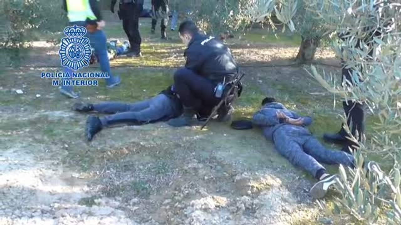 Operación policial en la gallera donde se celebraba el Campeonato Nacional de Peleas de Gallos