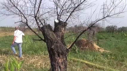 Jeotermalin tarıma etkisiyle ilgili rapor hazırlandı