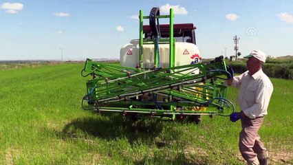 Çeltik tarlalarında yabancı otla mücadele başladı - EDİRNE