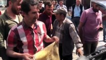 Erzurum'da otomobilin motor bölümüne giren yılan korkuttu - ERZURUM