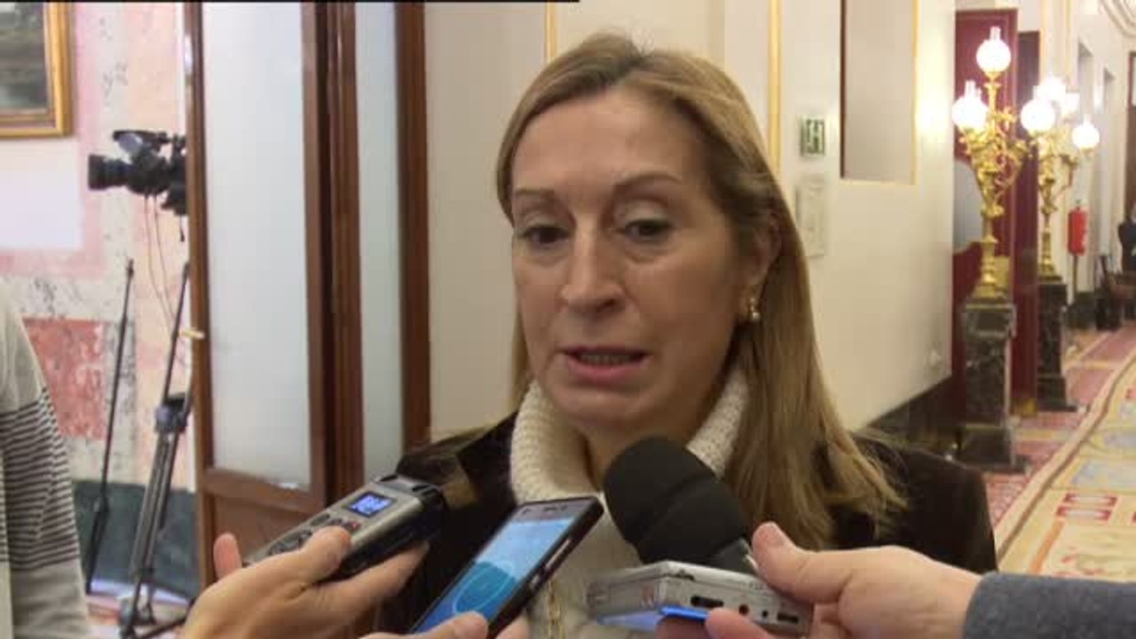 Ana Pastor: "Los demócratas estamos con las mujeres que sufren violencia"