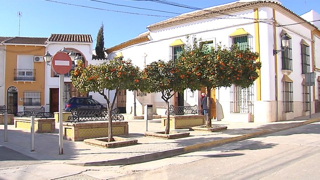 Casariche vive con intranquilidad una oleada de robos