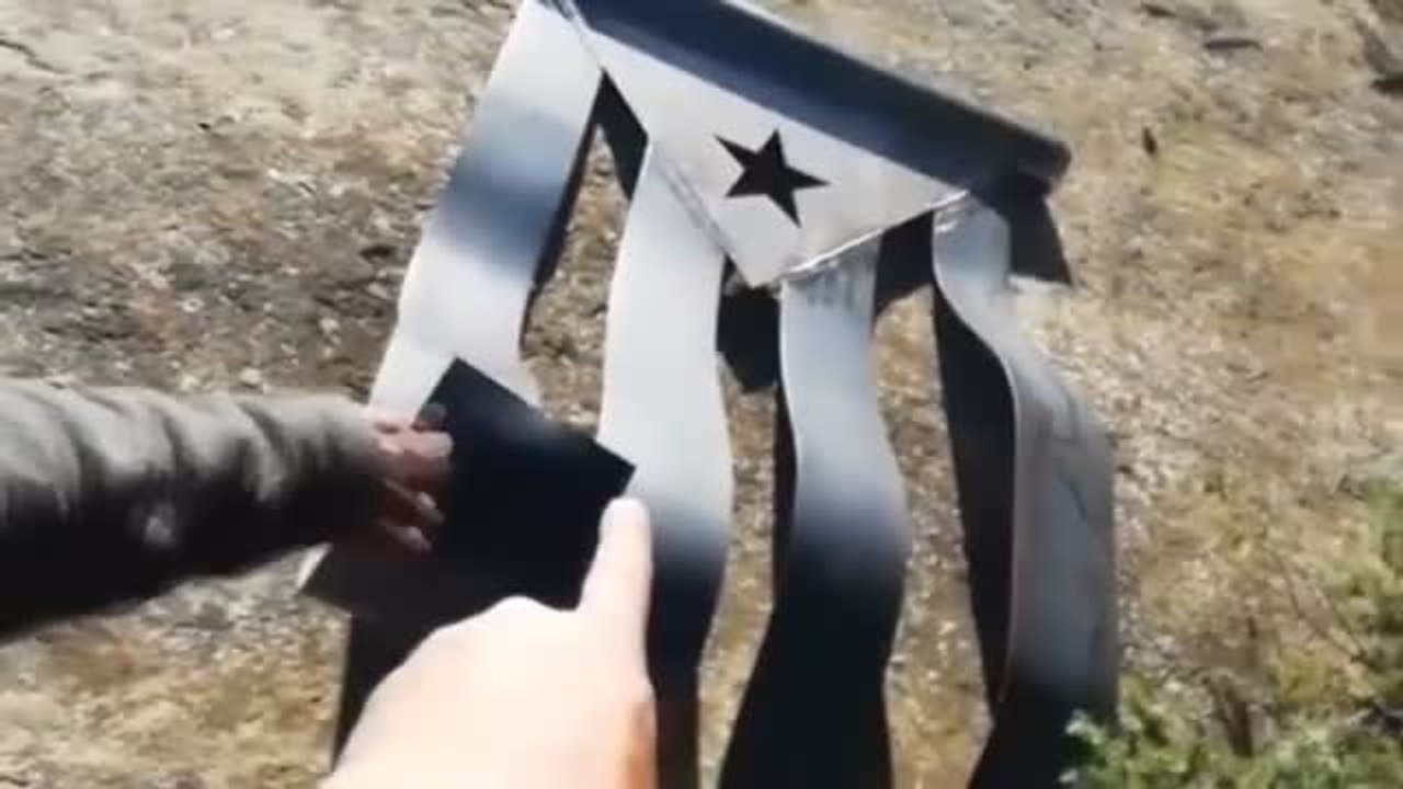 Los mossos denuncian por hurto a un hombre que retiró una estelada de hierro