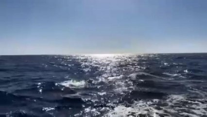 Un anno dopo l'Aquarius: l'UE ancora in alto mare