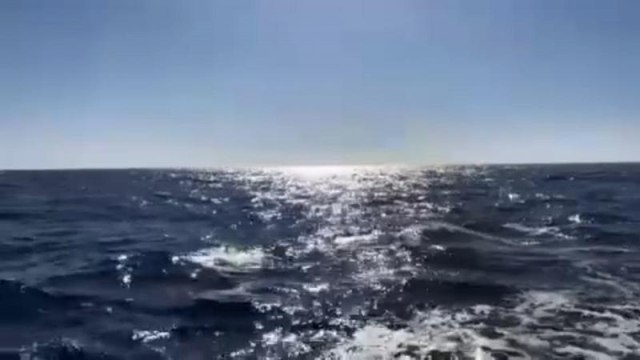 The Aquarius case: one year on the EU migration policy is sinking