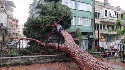 Kuvvetli sağanak ve fırtına - AYDIN