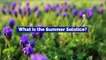 What Is the Summer Solstice? (June 21)