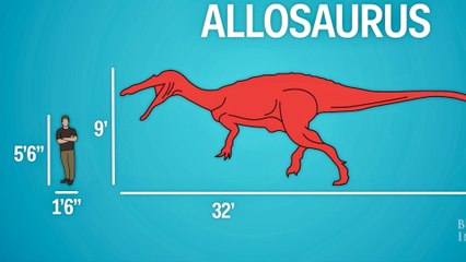 How Big Are Dinosaurs Compareed To Humans? - Great Animation