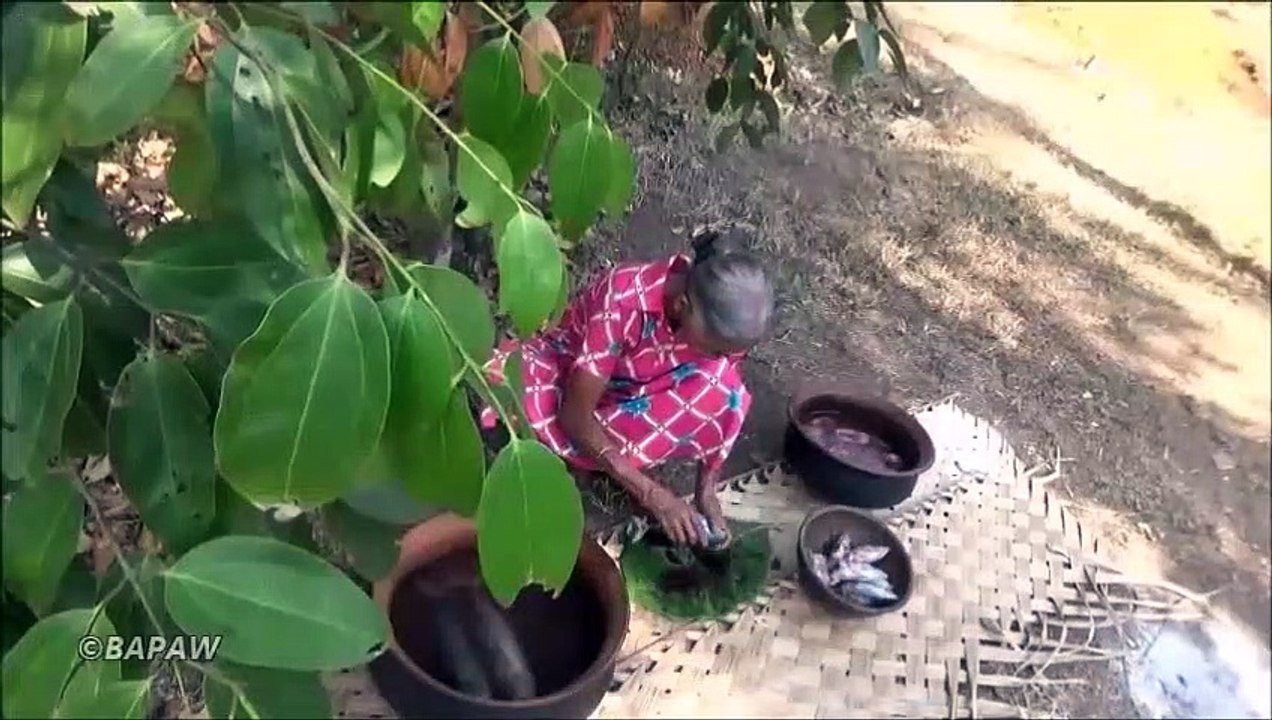 Thon Recette de Poisson  Cuisson Chaude Petite boite de Thon au Curry par la grand-mère - la Vie du Village