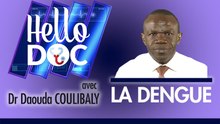 Hello Doc : La Dengue