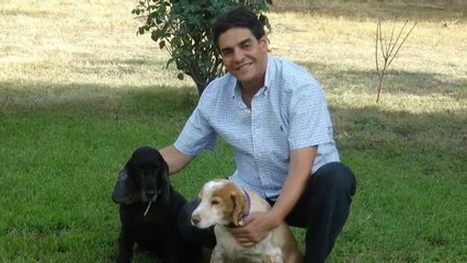 Una juez denegó la protección a las víctimas de Castellón