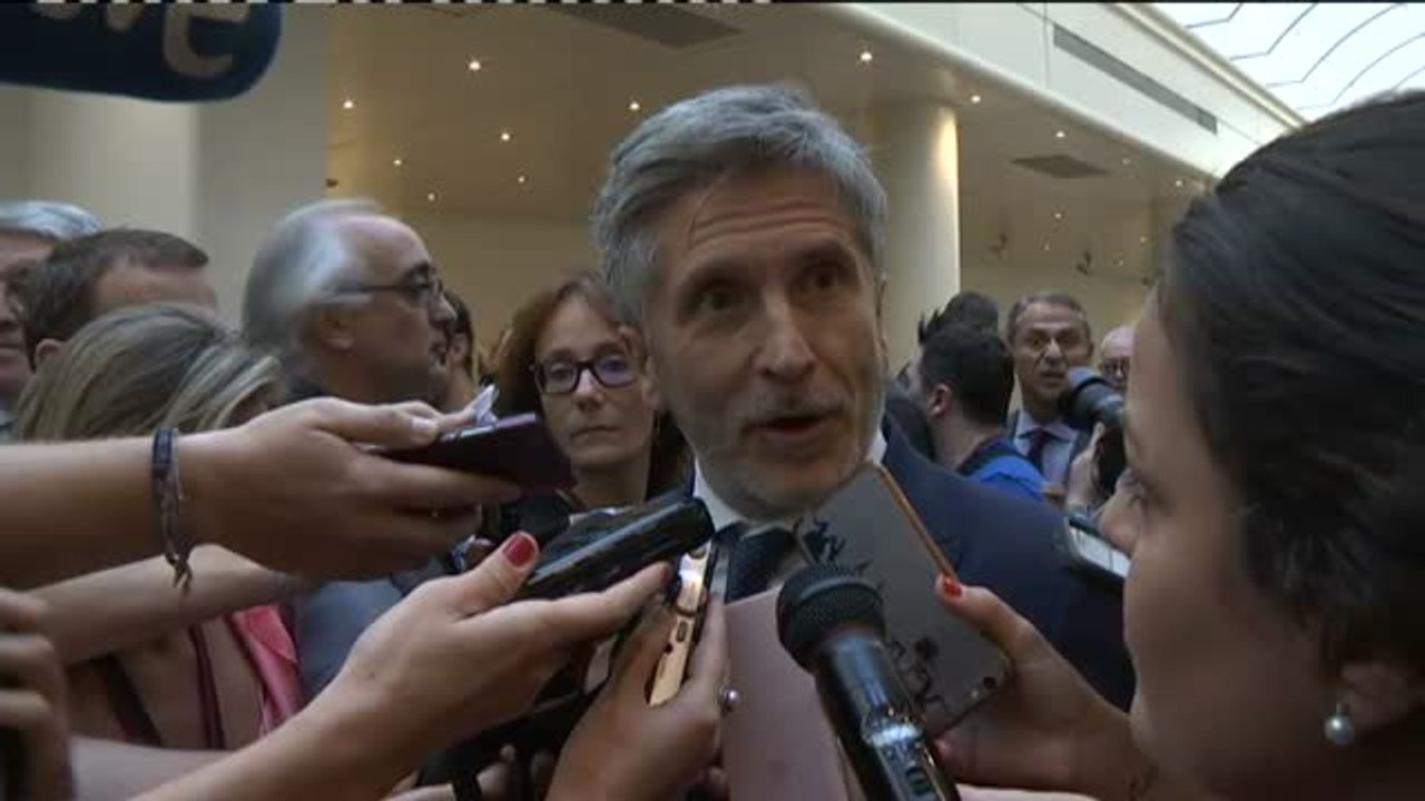 Grande-Marlaska: "Todos los ministros vamos a seguir en nuestro puesto de trabajo"