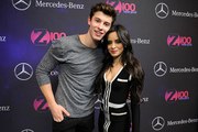 Shawn Mendes and Camila Cabello Tease Steamy New Duet