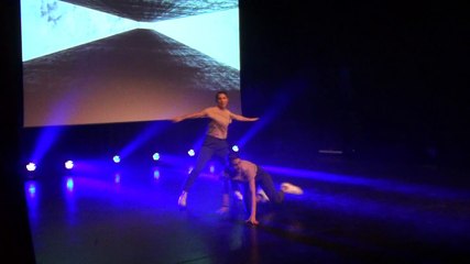 08. Upside down show 1 depuis jardin