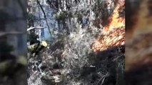 Así trabaja la élite de los bomberos forestales: del helicóptero al centro de las llamas