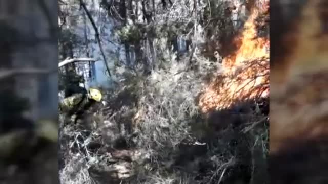 Así trabaja la élite de los bomberos forestales: del helicóptero al centro de las llamas