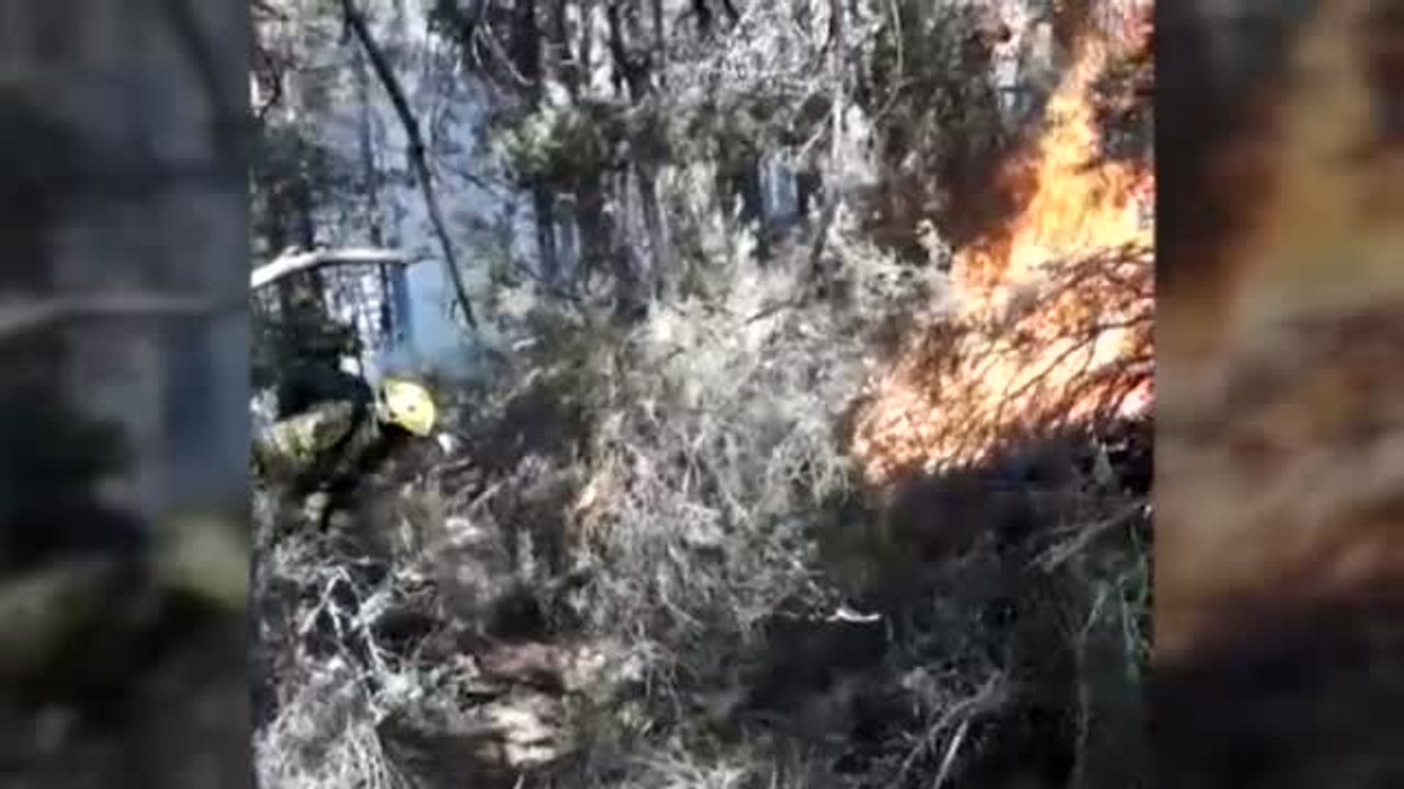 Así trabaja la élite de los bomberos forestales: del helicóptero al centro de las llamas