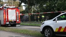 Mueren cuatro niños arrollados por un tren en Holanda