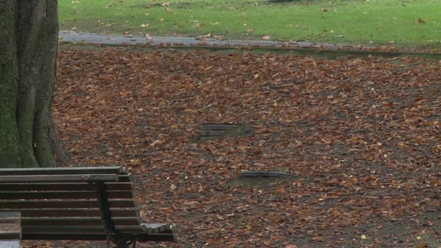 AEMET espera un otoño más cálido de lo normal