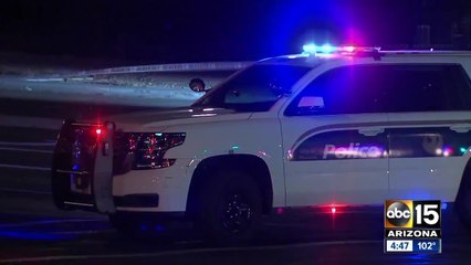 Somali community grieves the loss of beloved member who died in Phoenix crash