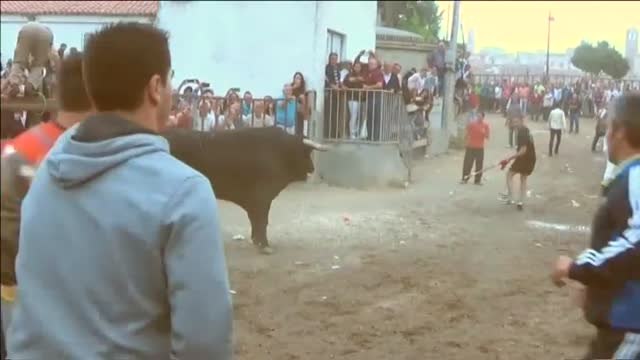 Vuelve el Toro de la Vega y por segundo año consecutivo sin matar al astado