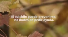 OMS recuerda que con intervenciones oportunas se puede reducir la tasa de suicidios