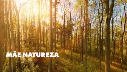 A relação da natureza com a saúde e bem-estar