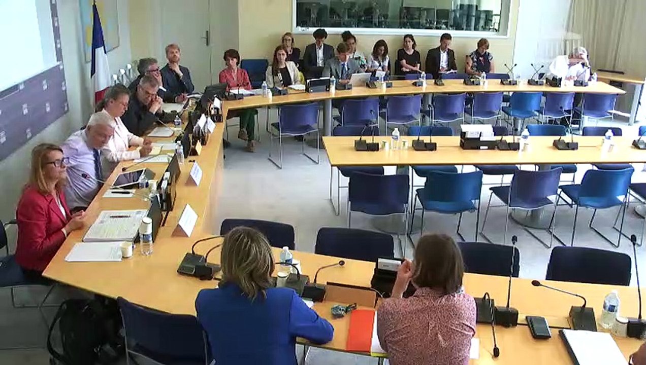 Commission des Affaires européennes : table ronde sur le socle européen des droits sociaux - Mercredi 19 juin 2019