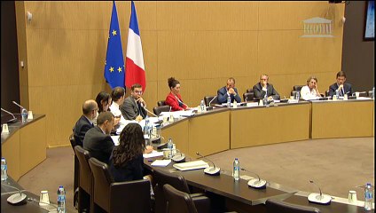 Commission d’enquête Forces de sécurité : M. Christophe Castaner, ministre de l’intérieur - Mercredi 19 juin 2019