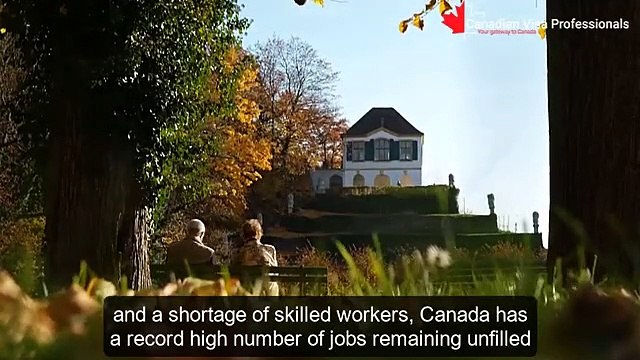 Canadian Visa Professionals Take Advantage of Vacant Jobs in Canada