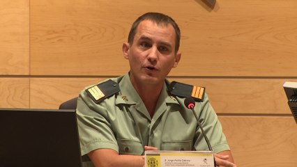 Pegaso evitará el riesgo que suponen los drones