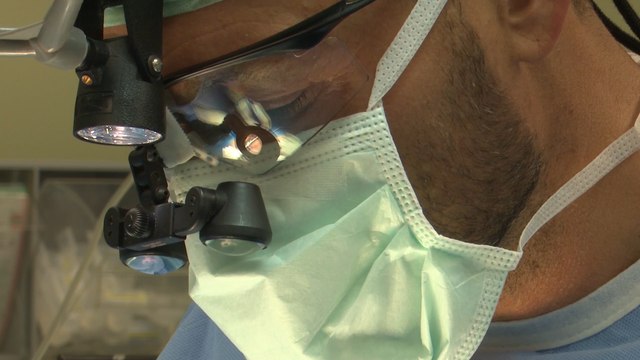 España vuelve a ser líder en trasplantes y donaciones