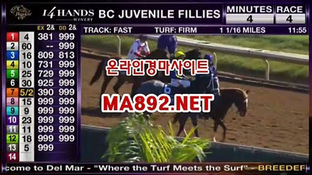 오늘의경마 ,온라인경마 ,인터넷경마 ,일본경마 ▒ ma892.net ▒