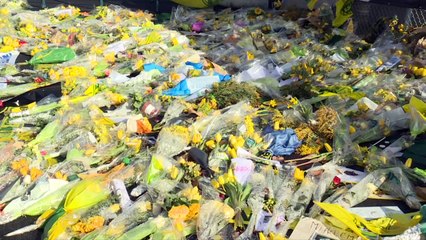 Hombre detenido por homicidio involuntario en caso de Emiliano Sala