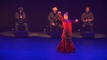Eva Yerbabuena en el festival Flamenco on Fire