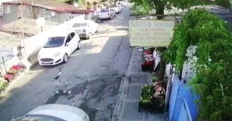 Komşusunun beslediği yavru kuşları aracıyla böyle ezdi